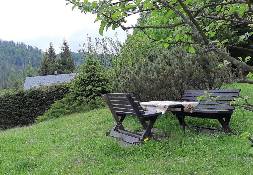 Fleurs De Myto Villa Mýto pod Ďumbierom Eksteriør billede